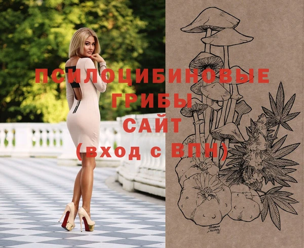 спиды Кулебаки