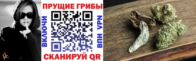 Псилоцибиновые грибы Magic Shrooms  купить наркотики сайты  МЕГА маркетплейс  Рубцовск 