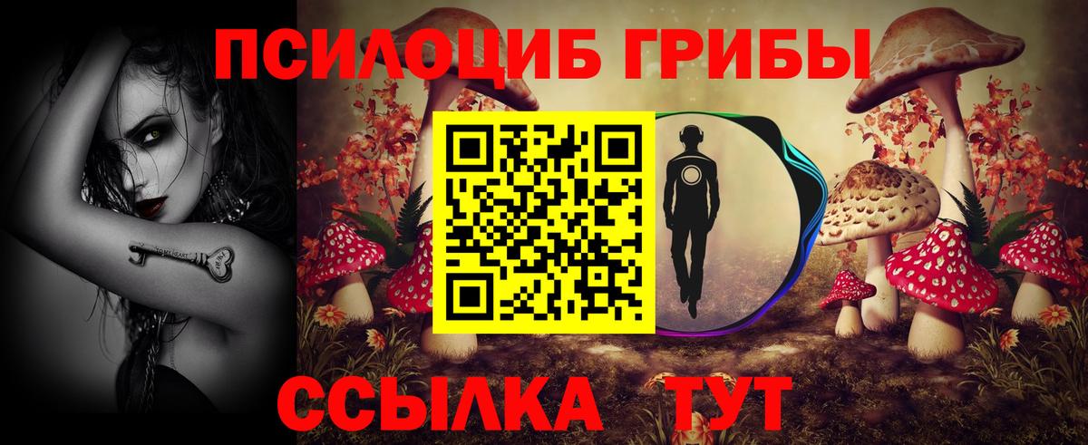 Рубцовск  Галлюциногенные грибы Cubensis  Вход с VPN 