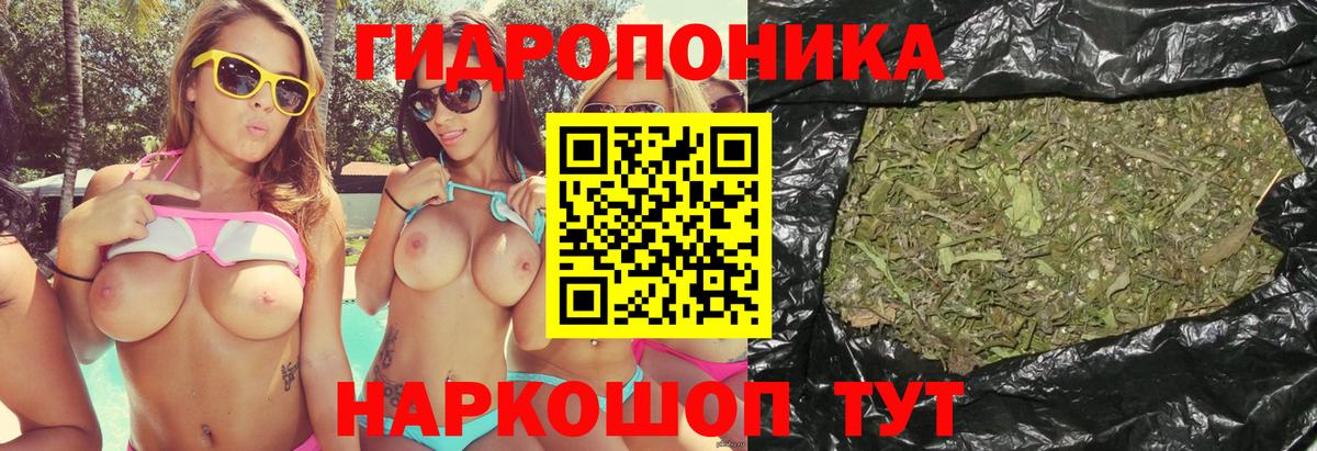 МАРИХУАНА сатива Рубцовск